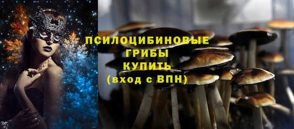 МДПВ Алексин