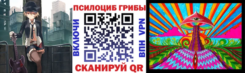 darknet Telegram  Переславль-Залесский  Псилоцибиновые грибы ЛСД 